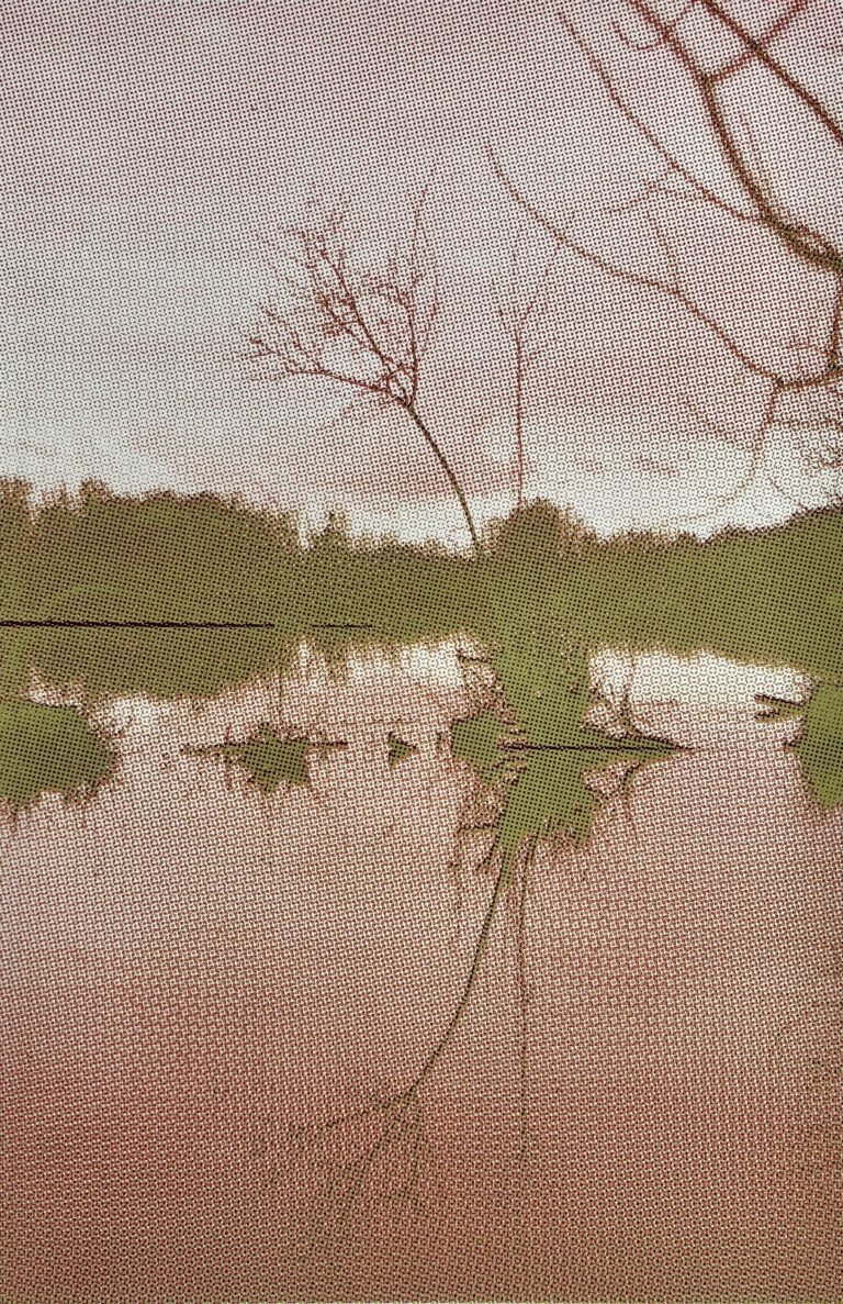 Echo, Siebdruck 2025, 70x50cm