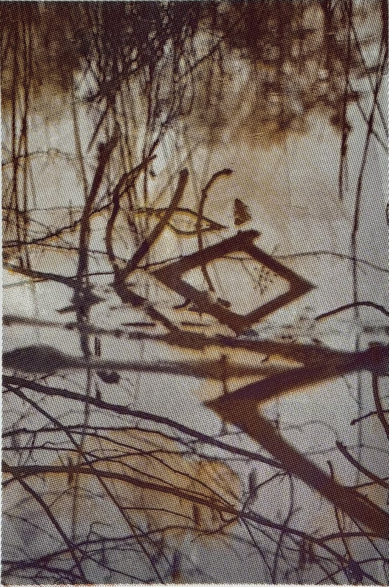 Im Sonnengold, Siebdruck 2024, 70x50cm