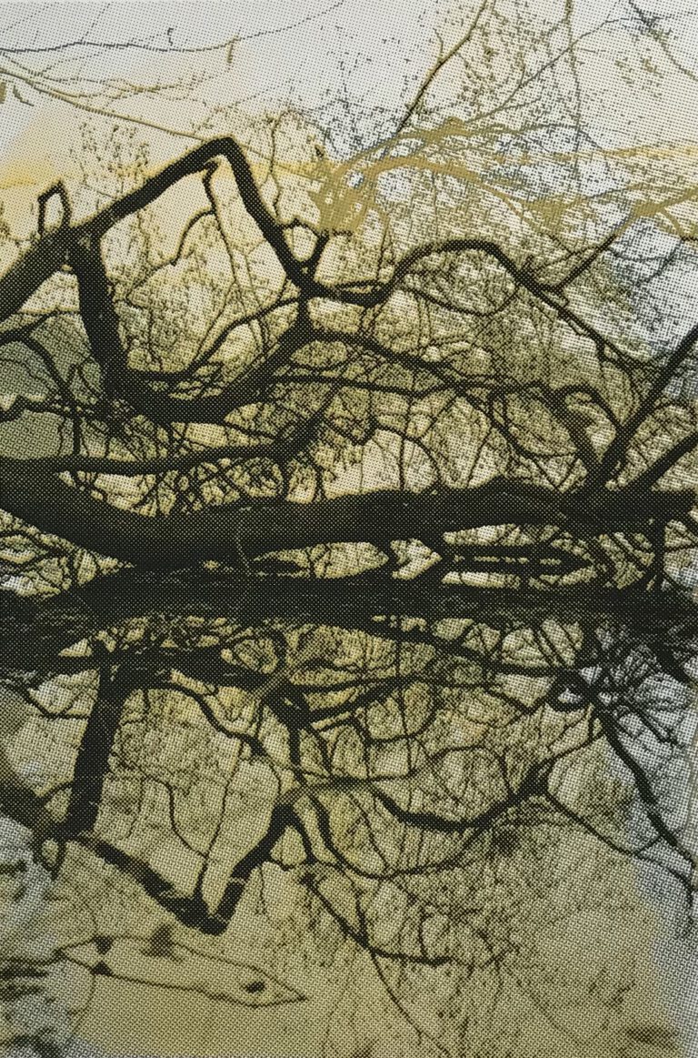 Stechlin, Siebdruck 2023, 70x50cm