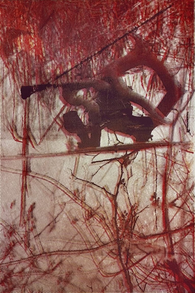 Tagtraum, Siebdruck 2024, 70x50 cm